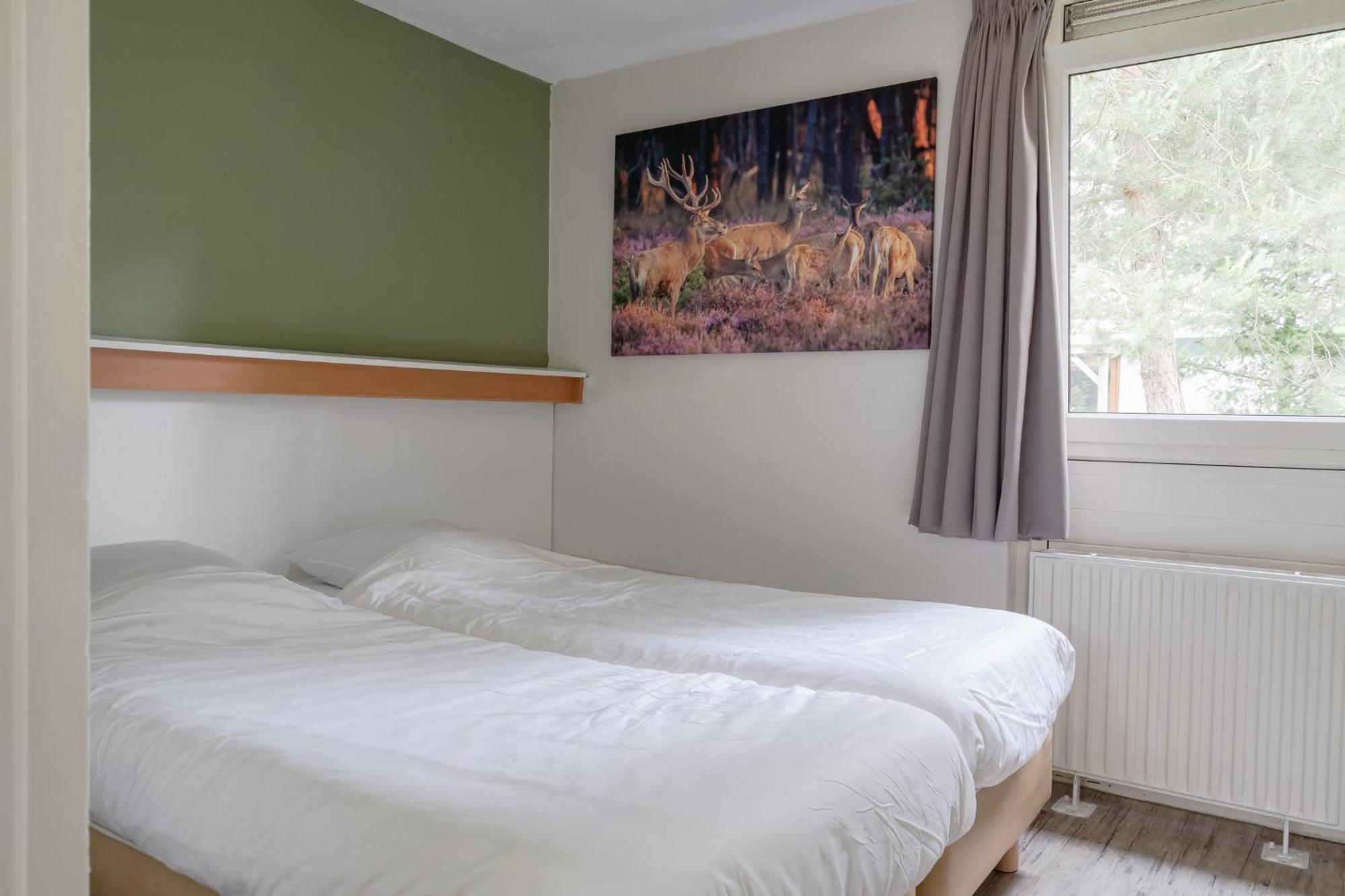 Rcn Vakantiepark De Roggeberg Appelscha Ngoại thất bức ảnh